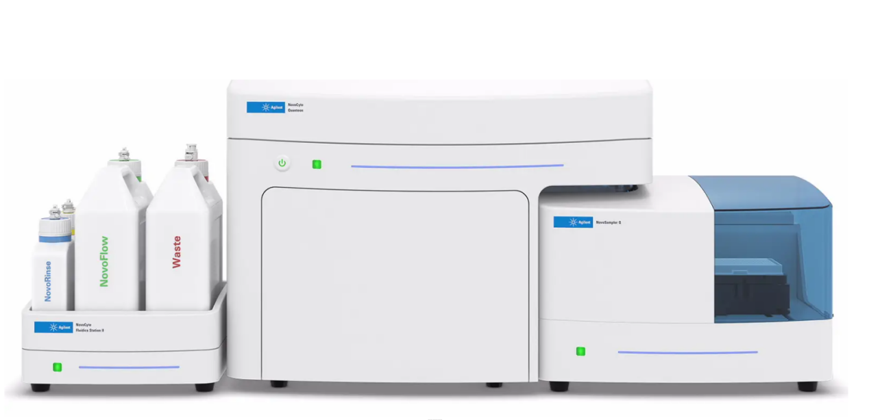 87099934162c4fd432b251403e206f39