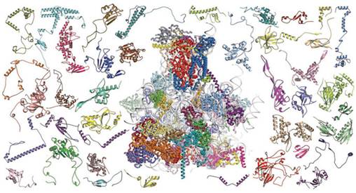 Science：结构生物学不再混沌