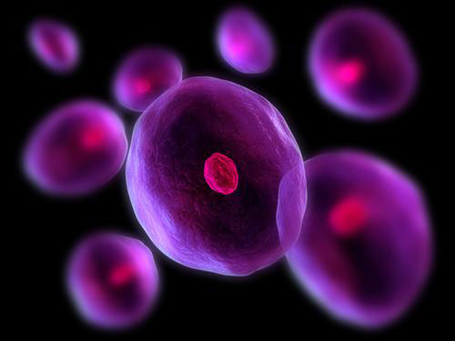 Science:RNA修饰调节干细胞多能性
