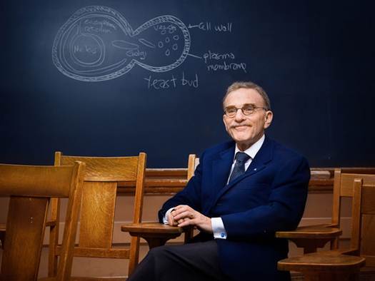 不恰当的激励会损害科学研究