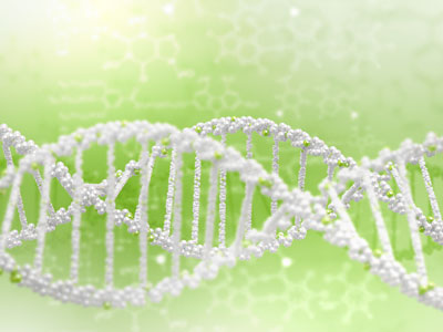 Nature:像海绵一样的非编码RNA