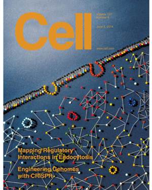 Cell封面文章：诺奖之后，绘制首张细胞交通管控系统图