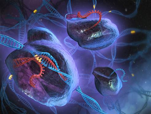 Science:解析CRISPR/Cas的分子机制