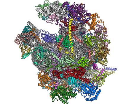 两篇Nature破解重要的分子结构