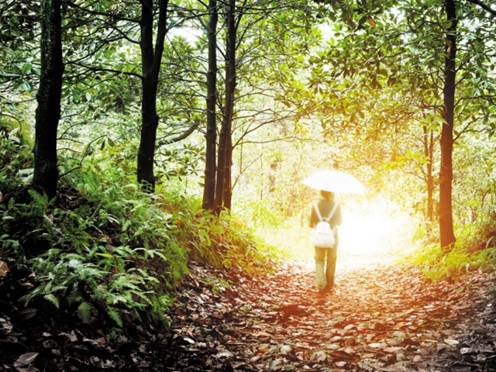 Nature：抑郁治疗从改变认知开始