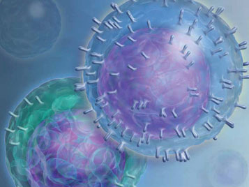 诺奖得主Science颠覆免疫学传统认知